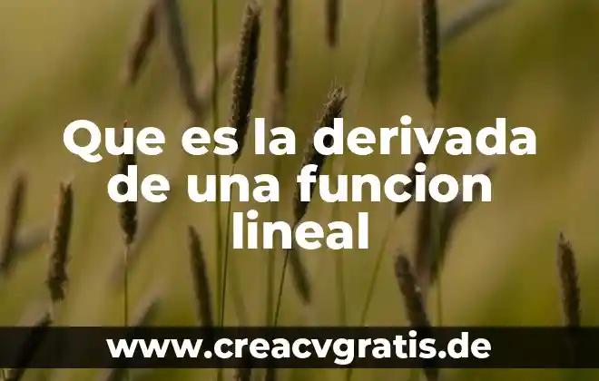 Qué es una función lógica 4 Que es la derivada de una funcion lineal
