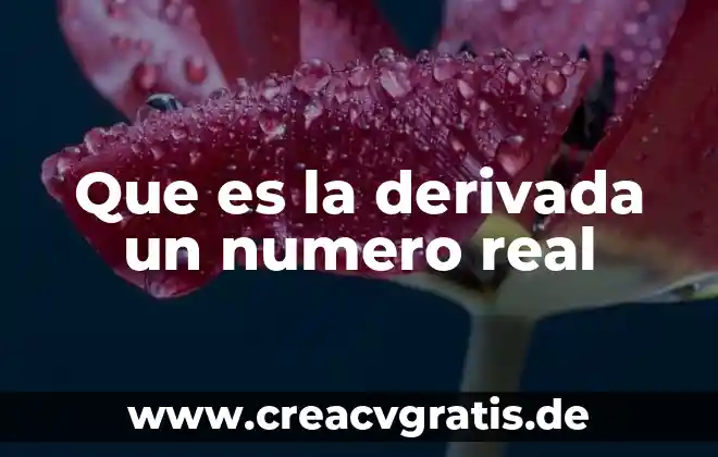 Qué es un número real en álgebra 7 Que es la derivada un numero real