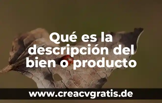 Descripción de la planta que es 5 Qué es la descripción del bien o producto