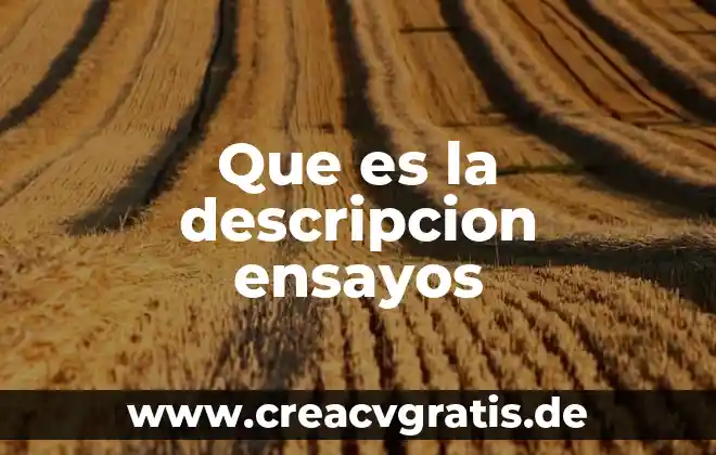 Que es un ensayo pasos y tipos de ensayos 4 Que es la descripcion ensayos