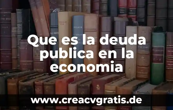 Deuda interna que es 7 Que es la deuda publica en la economia