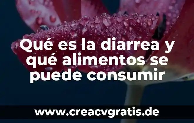 Que es la historia y para que me puede servir 3 Qué es la diarrea y qué alimentos se puede consumir