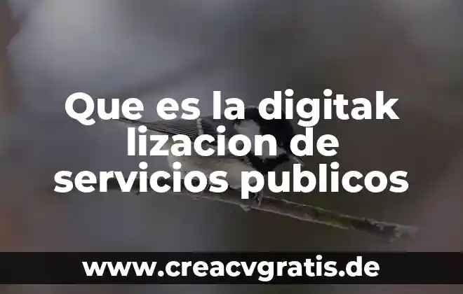 Por que es importante la limpieza en los espacios publicos 4 Que es la digitak lizacion de servicios publicos