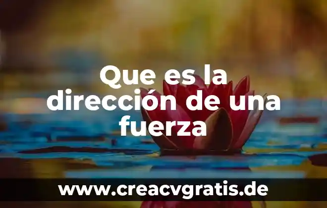 Que es fuerza sométrica 4 Que es la dirección de una fuerza