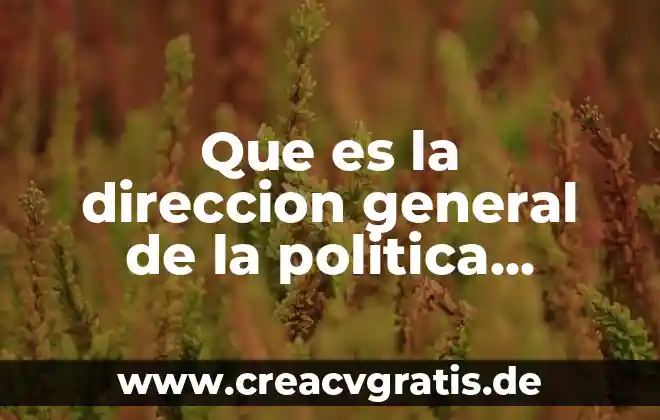 Que es la direccion creativa en moda 6 Que es la direccion general de la politica general