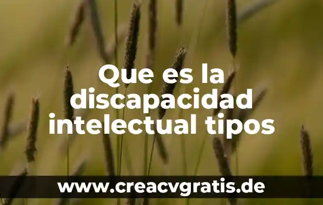 Que es diagnostico inicial de un proyecto de discapacidad 5 Que es la discapacidad intelectual tipos