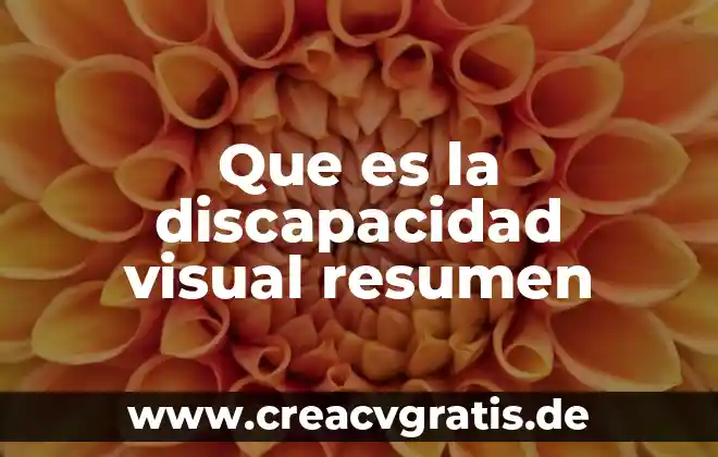Que es la discapacidad intelectual tipos 7 Que es la discapacidad visual resumen