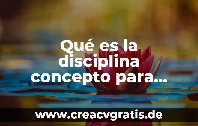 Que es decidir concepto 7 Qué es la disciplina concepto para niños