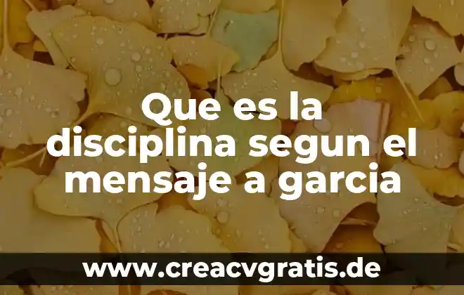 Que es un desarrollo de un tema ejemplo de educacion 7 Que es la disciplina segun el mensaje a garcia