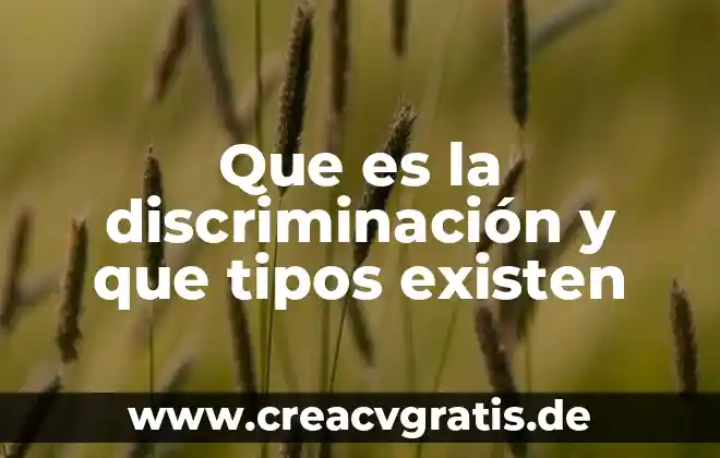 Que es la interferencias de datos 8 Que es la discriminación y que tipos existen