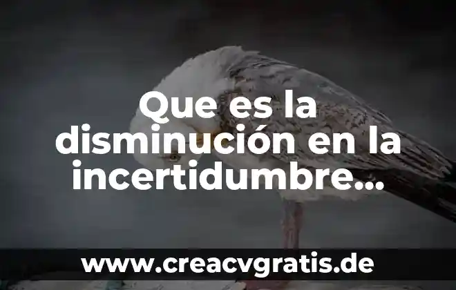 Que es muguet significado 6 Que es la disminución en la incertidumbre económica