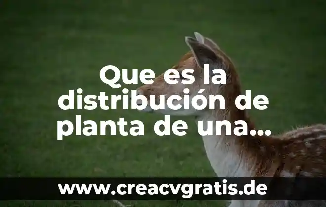 Que es tra de la distribución de la planta 3 Que es la distribución de planta de una empresa