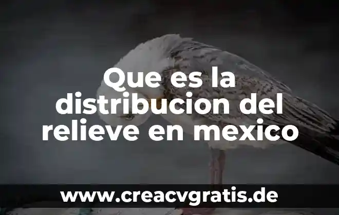Que es argumento o trama en un cuento 5 Que es la distribucion del relieve en mexico