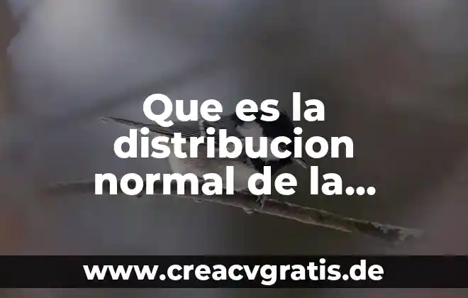 Que es mejor una bicleta normal o una con amortiguadores 4 Que es la distribucion normal de la media