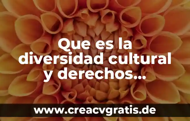 Que es el paradigma de derechos humanos 7 Que es la diversidad cultural y derechos humanos