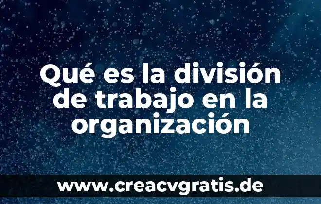 Que es una organizacion tecnica de una empresa 7 Qué es la división de trabajo en la organización