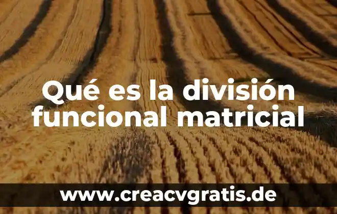 Que es una linea de autoridad funcional en un organigrama 8 Qué es la división funcional matricial