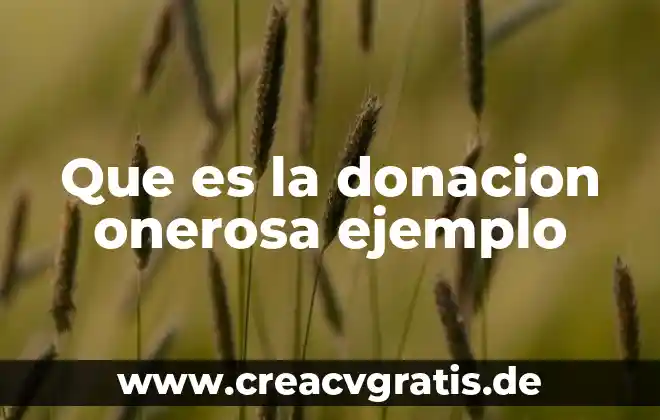 Enlace punto a punto que es 3 Que es la donacion onerosa ejemplo