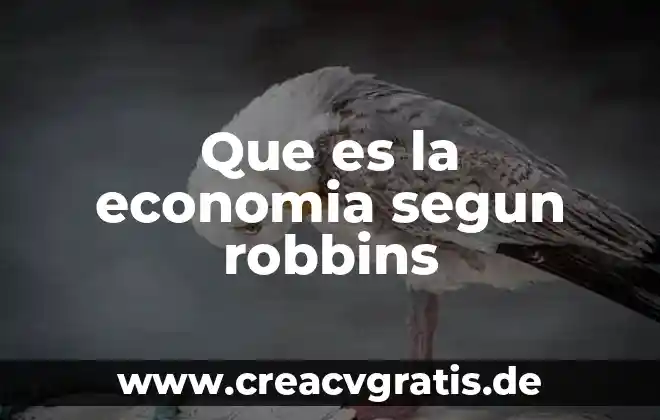 Prueba rapida de embarazo en sangre que es 8 Que es la economia segun robbins