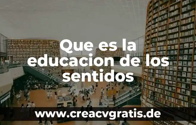 Que es el encuadre en la educacion 6 Que es la educacion de los sentidos