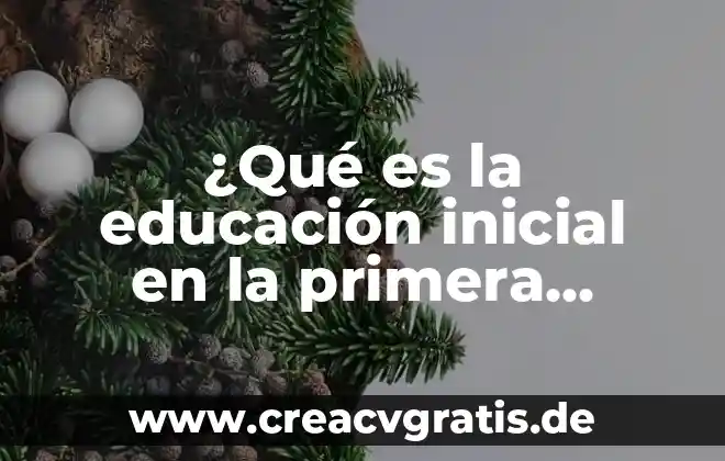 Primera infancia en los niños que es con palabras entendibles 8 ¿Qué es la educación inicial en la primera infancia?