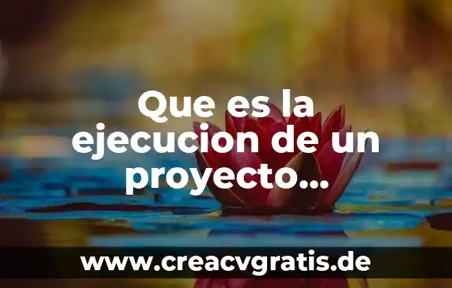 Que es el fuego definición 6 Que es la ejecucion de un proyecto definicion