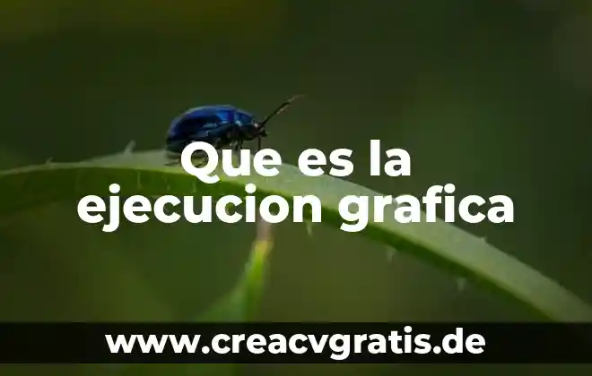 Qué es la novela gráfica y por qué su nombre 8 Que es la ejecucion grafica