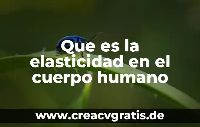 Que es el cuidado de tu cuerpo 6 Que es la elasticidad en el cuerpo humano