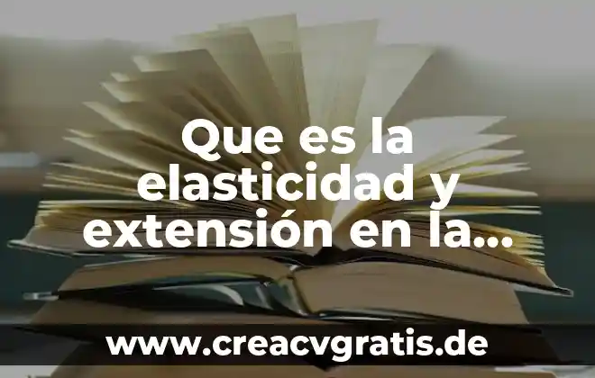 Que es capasidad fisica o motriz en educacion fisica 5 Que es la elasticidad y extensión en la fisica