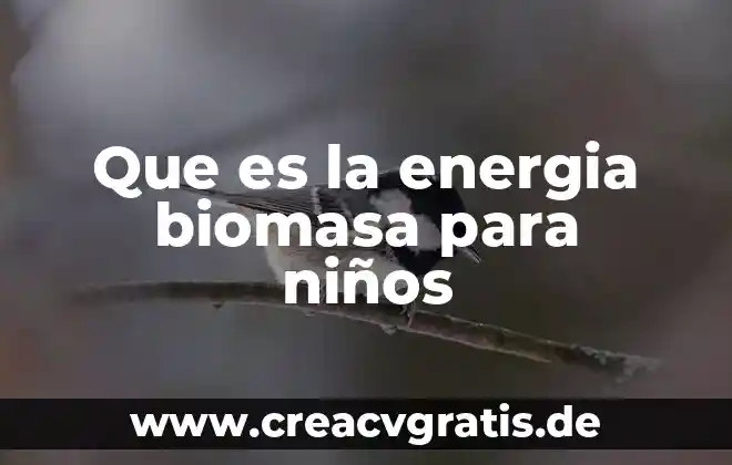Que es la biomasa energia renovable 3 Que es la energia biomasa para niños