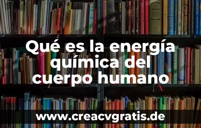 Que es el ddt en quimica significado 4 Qué es la energía química del cuerpo humano