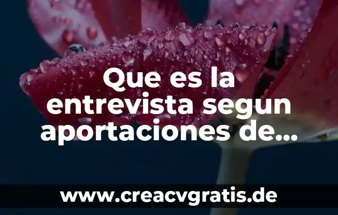 Qué es entrevista y tipos de entrevista 4 Que es la entrevista segun aportaciones de morrison