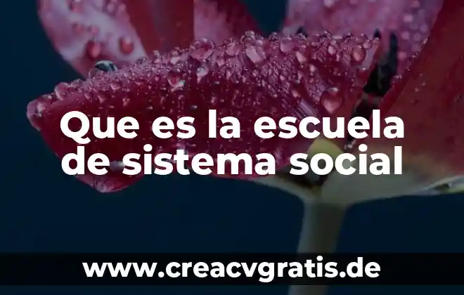 Que es un sistema de interes compuesto 6 Que es la escuela de sistema social