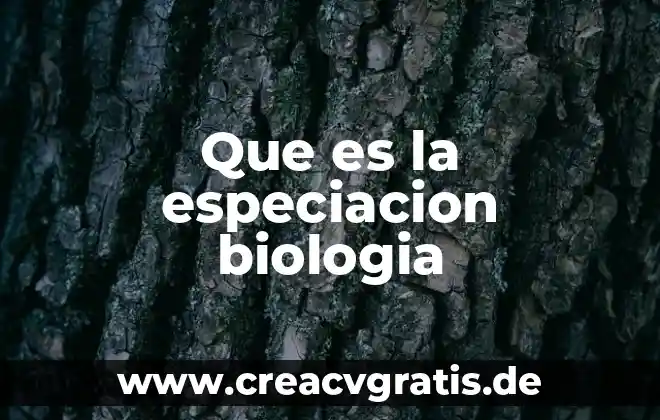 Qué es símbolo matemático 4 Que es la especiacion biologia