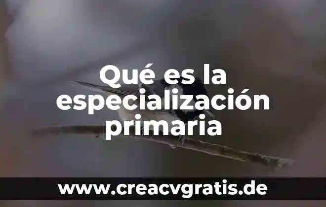 Que es la planificacion didactica en la escuela primaria 4 Qué es la especialización primaria