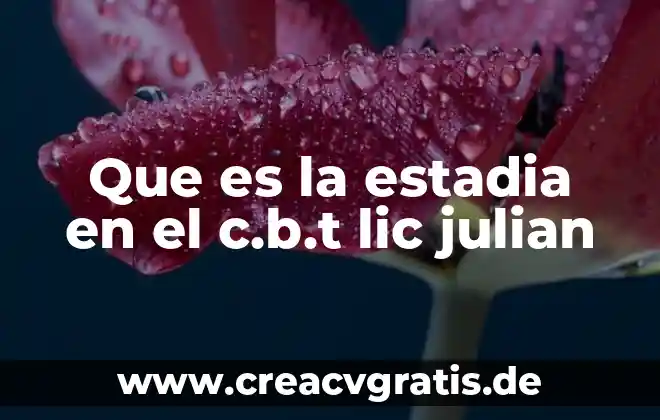 Qué es la conciencia científicamente 5 Que es la estadia en el c.b.t lic julian