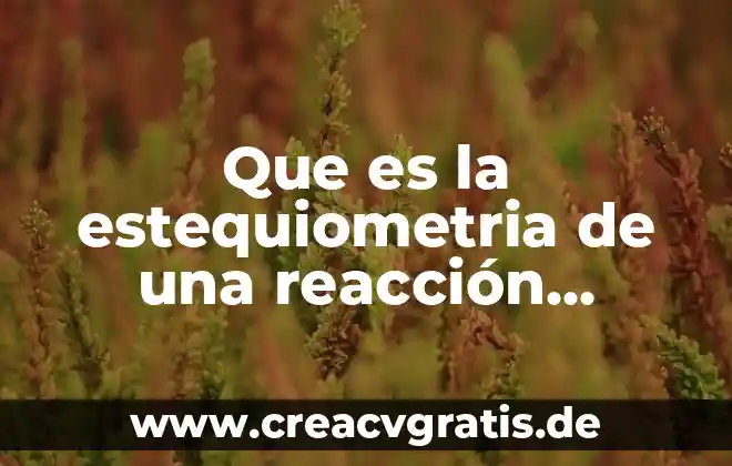 Que es estequiometria base a combustible 5 Que es la estequiometria de una reacción química