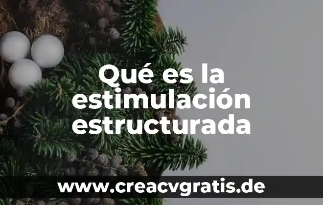Cantante que es el icono de la nueva generaci贸n 7 Qu茅 es la estimulaci贸n estructurada
