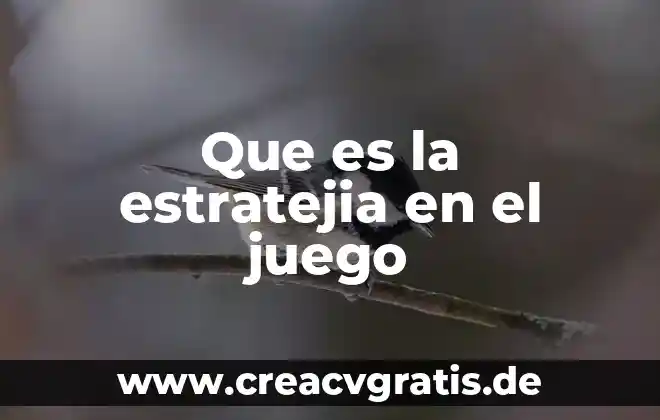 Que es juego de laberinto 6 Que es la estratejia en el juego