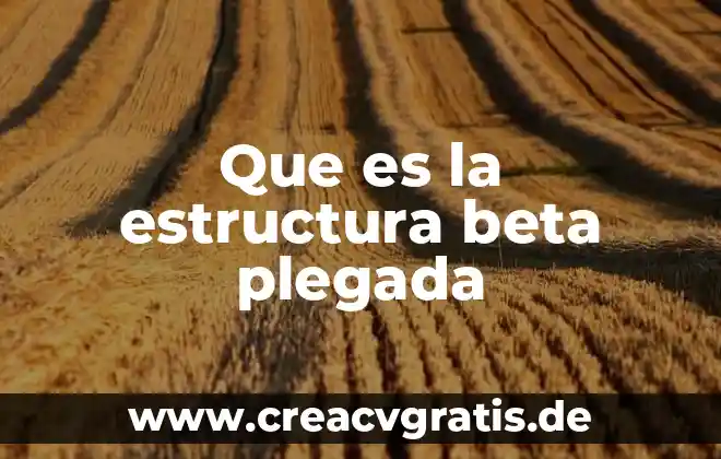 Qué es un problema y su estructura 3 Que es la estructura beta plegada