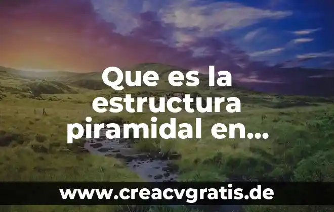 Que es un plan de negocios por que es necesario 7 Que es la estructura piramidal en negocios