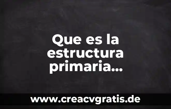 Qué es un múltiplos de un número sexto grado primaria 6 Que es la estructura primaria economica