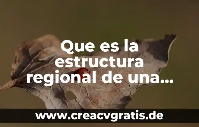 Empresa productiva subsidiaria que es 5 Que es la estructura regional de una empresa
