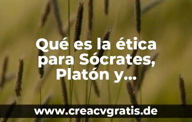 Que es el hombre sgun platon 7 Qué es la ética para Sócrates, Platón y Aristóteles