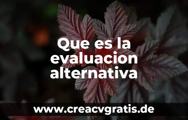 Que es analizar para el otorgamiento del credito 3 Que es la evaluacion alternativa