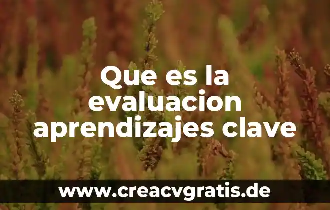 Que es la sensibilidad profunda articulos 4 Que es la evaluacion aprendizajes clave