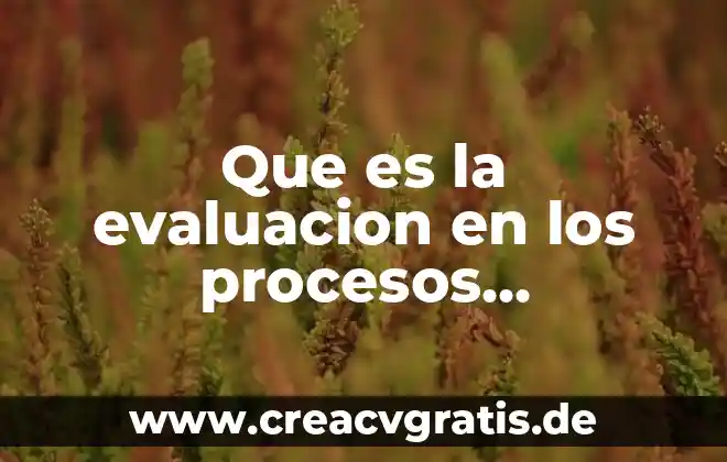 Que es una evaluacion previa 4 Que es la evaluacion en los procesos industriales