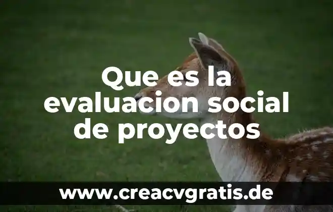 Como explicar que es un conexto social turistico 8 Que es la evaluacion social de proyectos