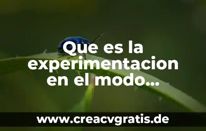 En el metodo cientifico que es experimentacion 5 Que es la experimentacion en el modo cientifico
