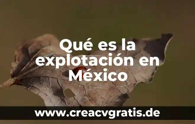 Que es el credito compuesto 6 Qué es la explotación en México